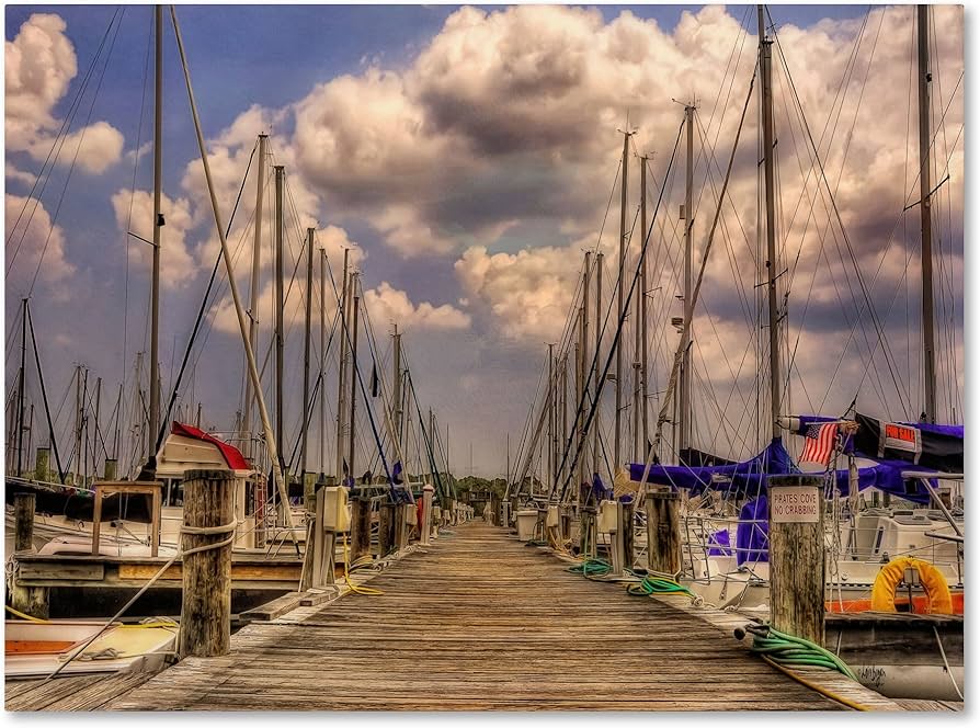 Amazon｜Lois BryanによるTrademark Fine Art Pirates Cove キャンバス